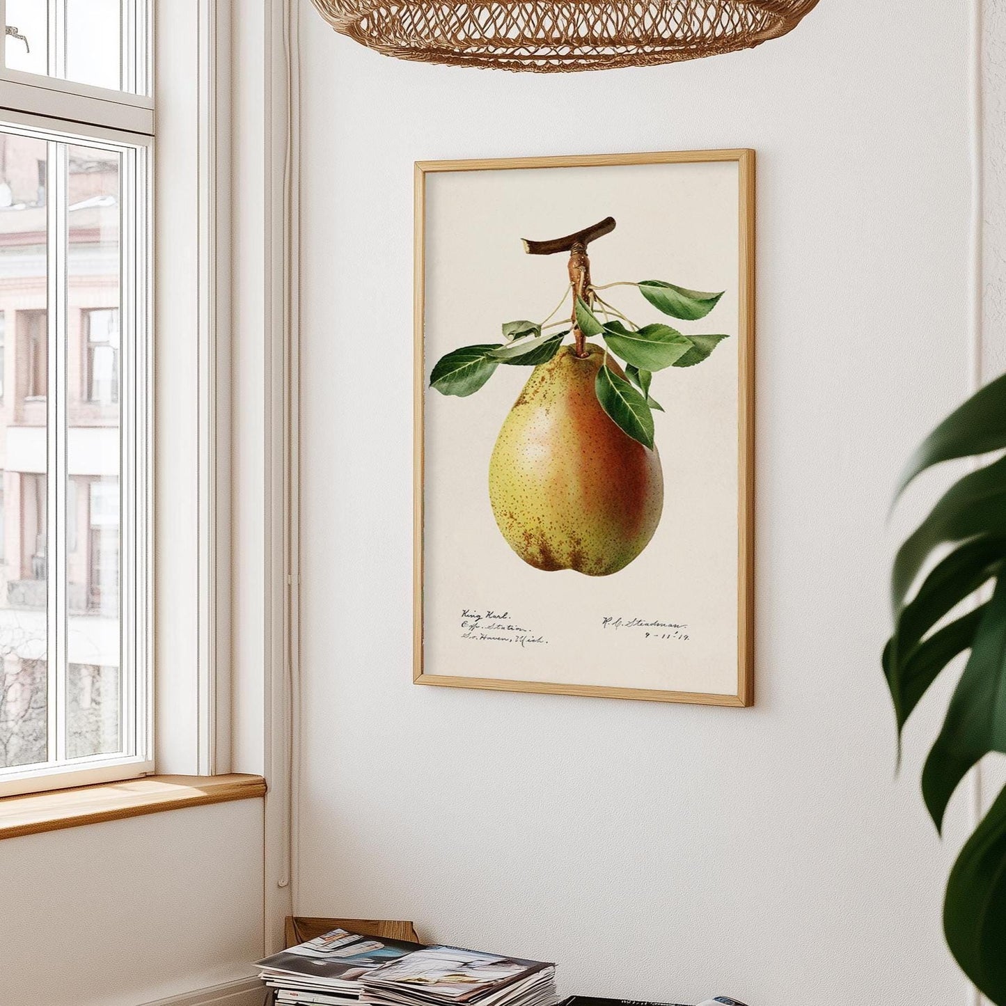 Pear Illustration 1887 – Vintage Fruit Art Print
