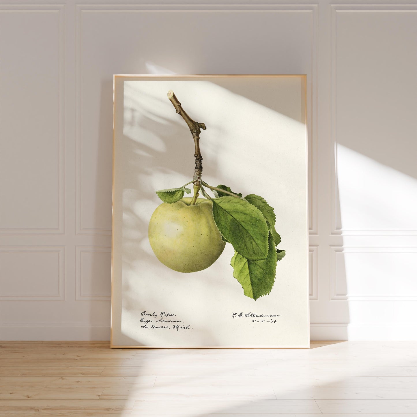 Green Apple Poster – Watercolor Fruit Illustration