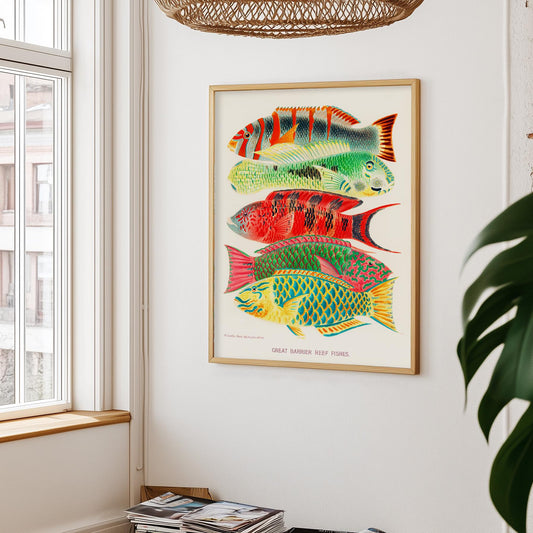 Tropische vissen – Great Barrier Reef, illustratie William Saville-Kent, 1893