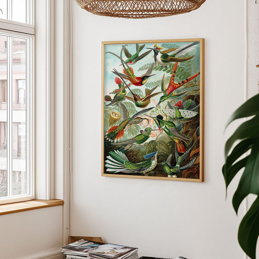 Hummingbird poster – Ernst Haeckel, 1904, vintage nature illustration