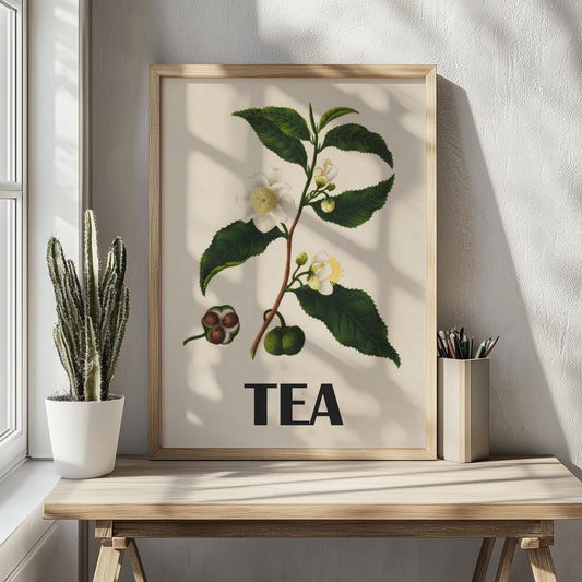 Vintage Theeplant Poster – Botanische Illustratie