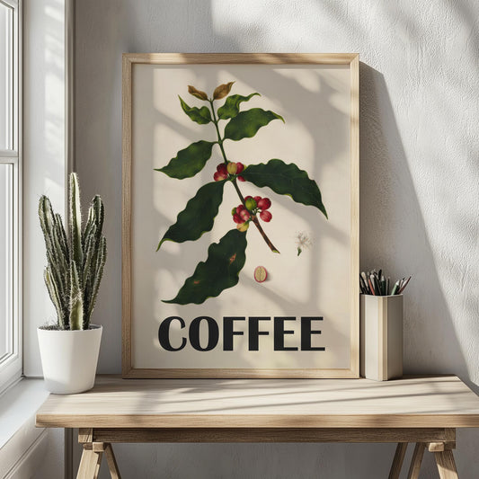 Vintage koffieposter - Botanische vintage print