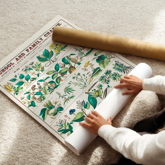 Botanische poster – Kruiden en medicinale planten (1890)