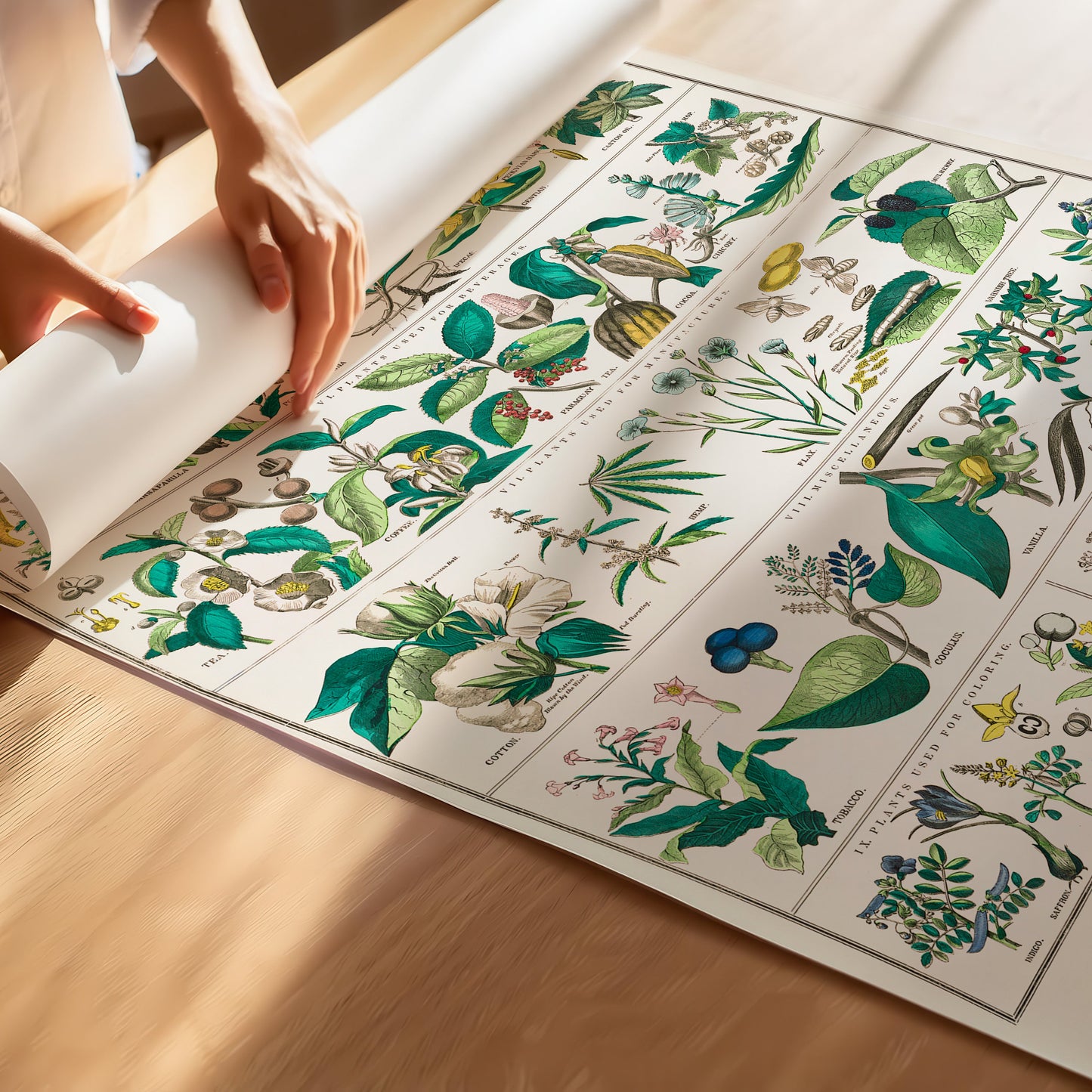 Vintage botanische poster met groene bladeren