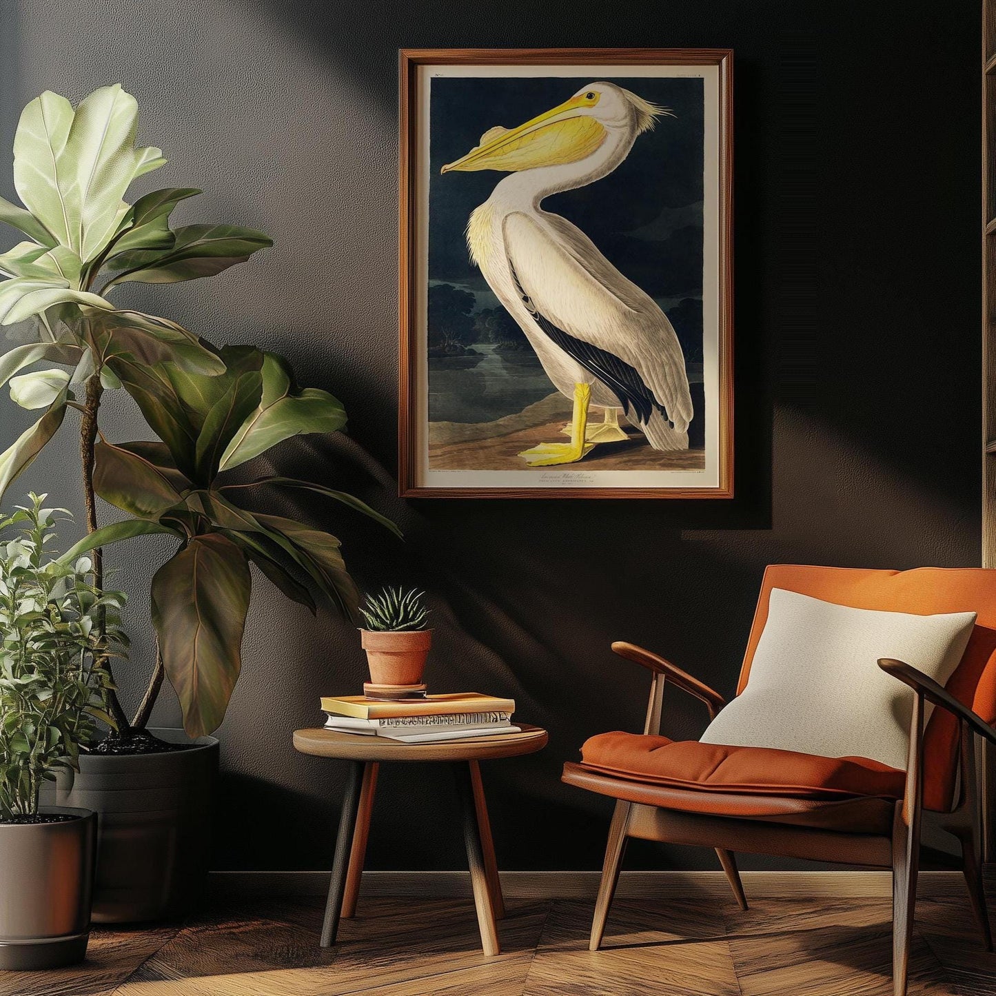 Pelikan Poster – Vögel von Amerika Vogel Illustration Amerika