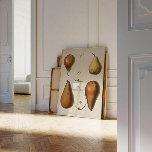 Peren Poster – Botanische Vintage Illustratie