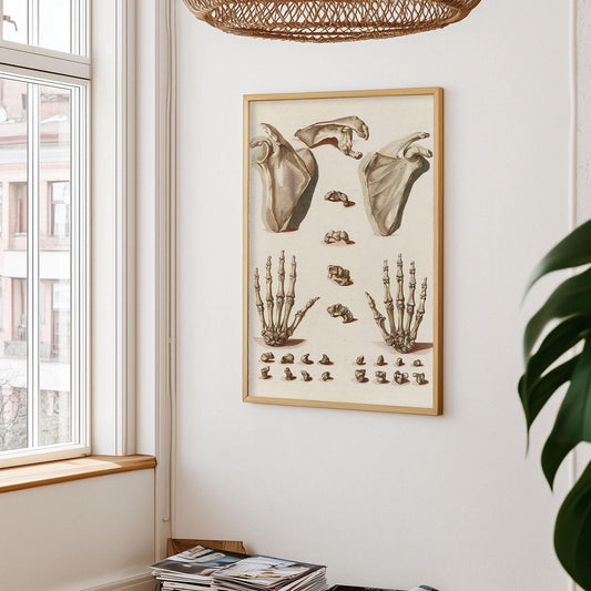 Orthopedic Hand Poster – Anatomical Illustration