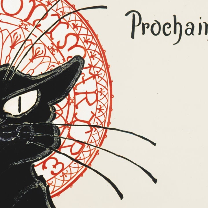 Close-up van vintage zwarte kat poster – ingezoomd detail.