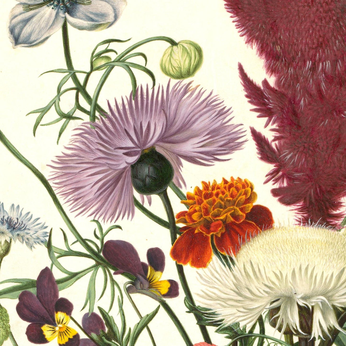 Flower Poster – Botanical Art Print in Colorful Style