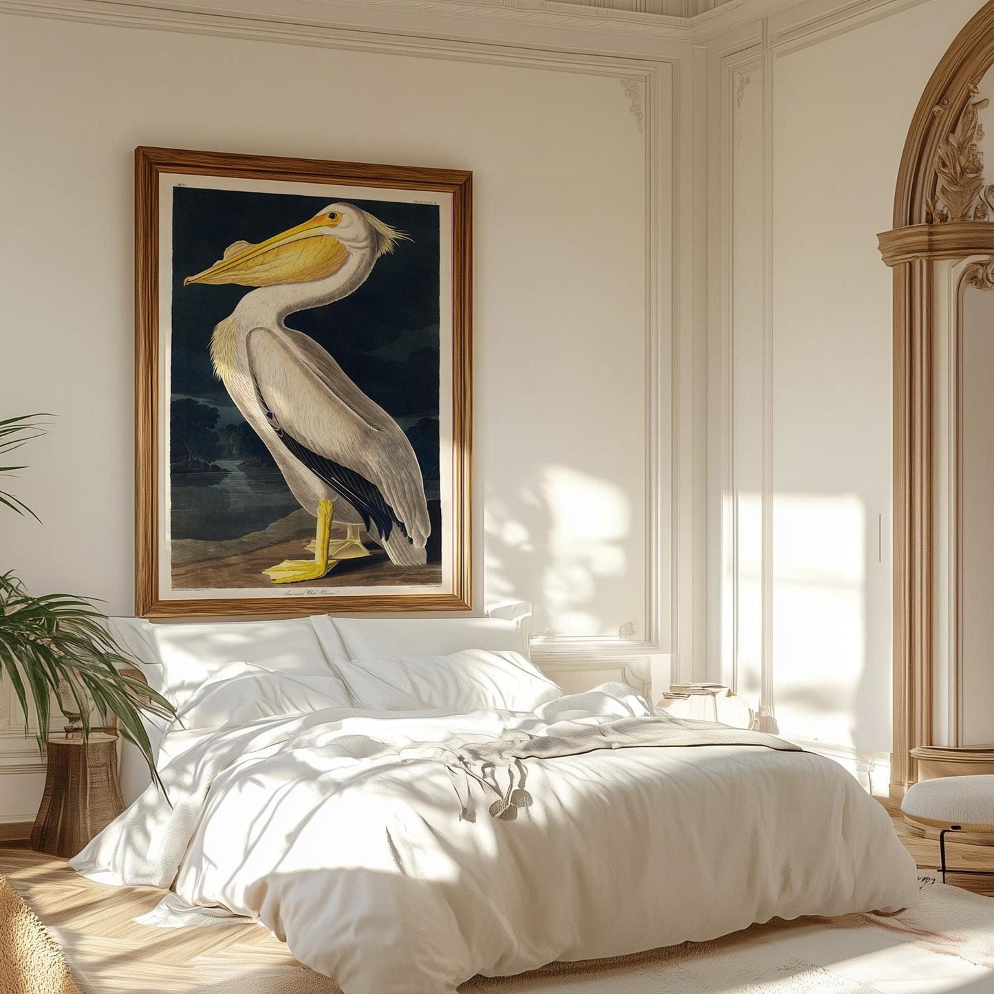 Pelikan Poster – Vögel von Amerika Vogel Illustration Amerika