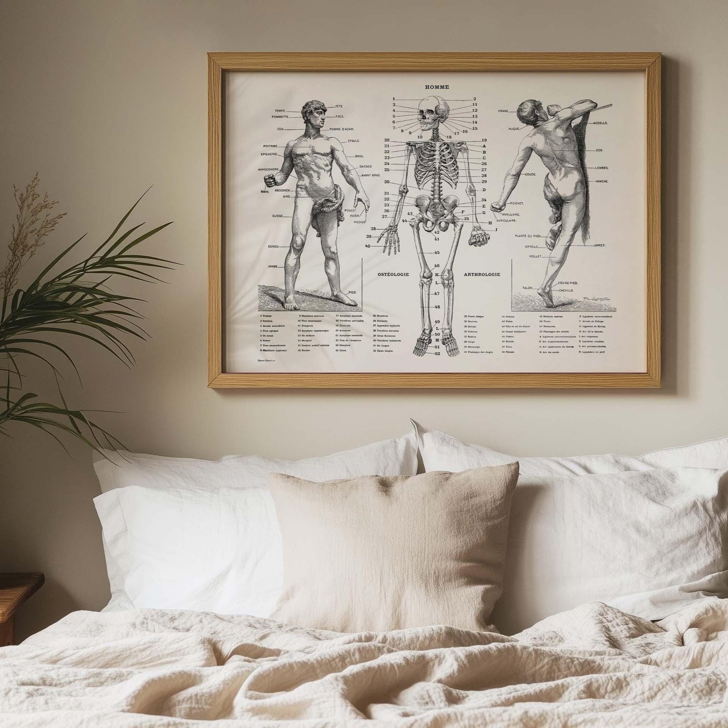Anatomieposter – Vintage Menselijk Lichaam print