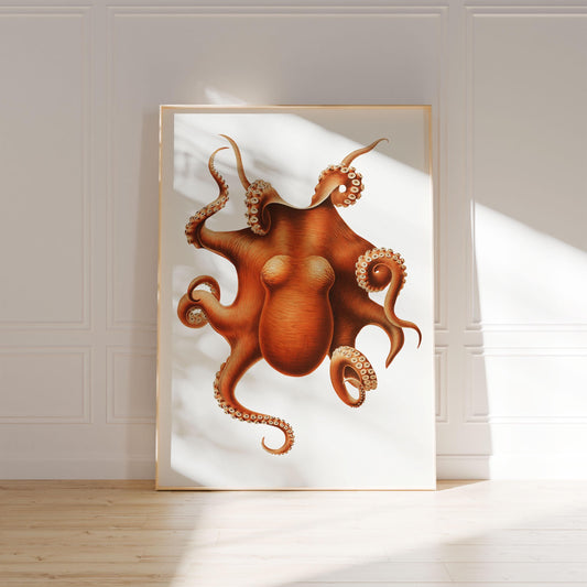 Oktopus Poster - Tintenfisch Druck