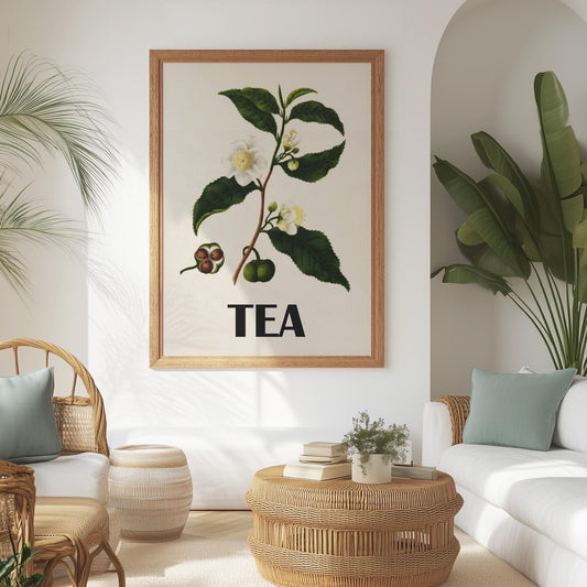 Vintage Tea Plant Poster – Botanical Illustration