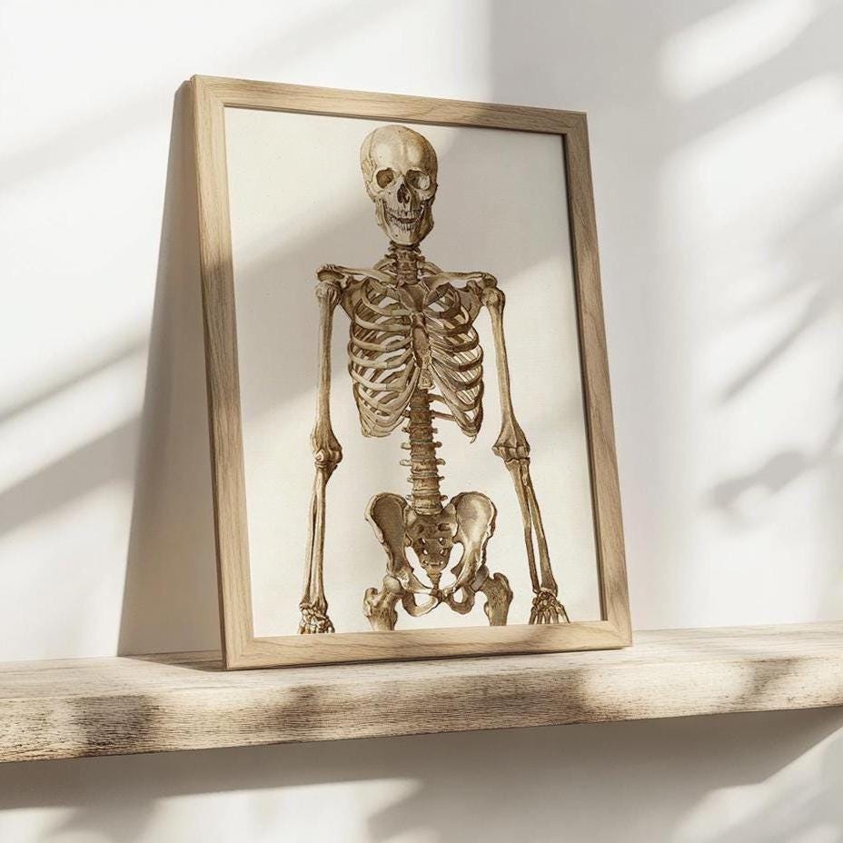 Vintage Skelett Poster – Retro Anatomische Kunst