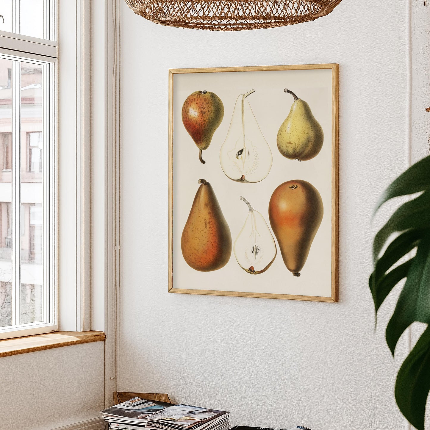 Pear Poster – Botanical Vintage Illustration