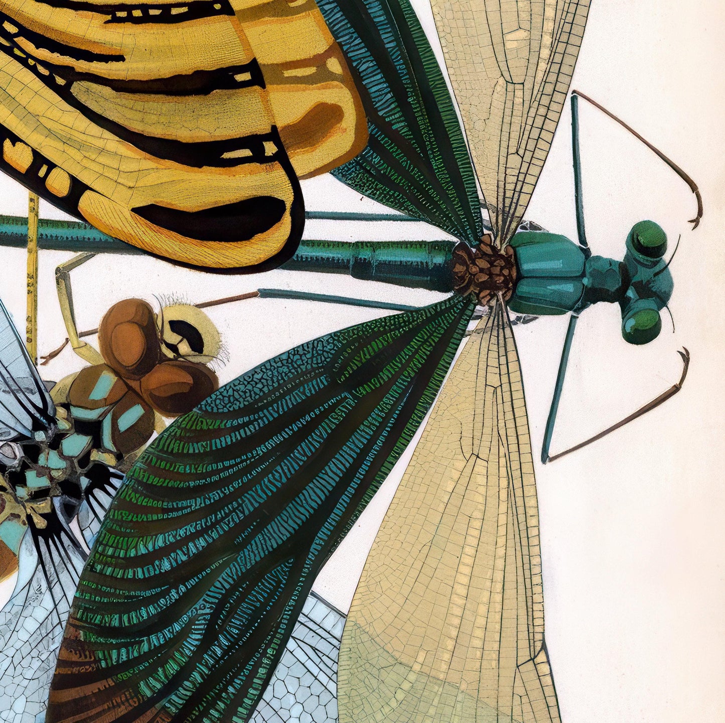 Insect Poster – Art Nouveau Illustration of Insects