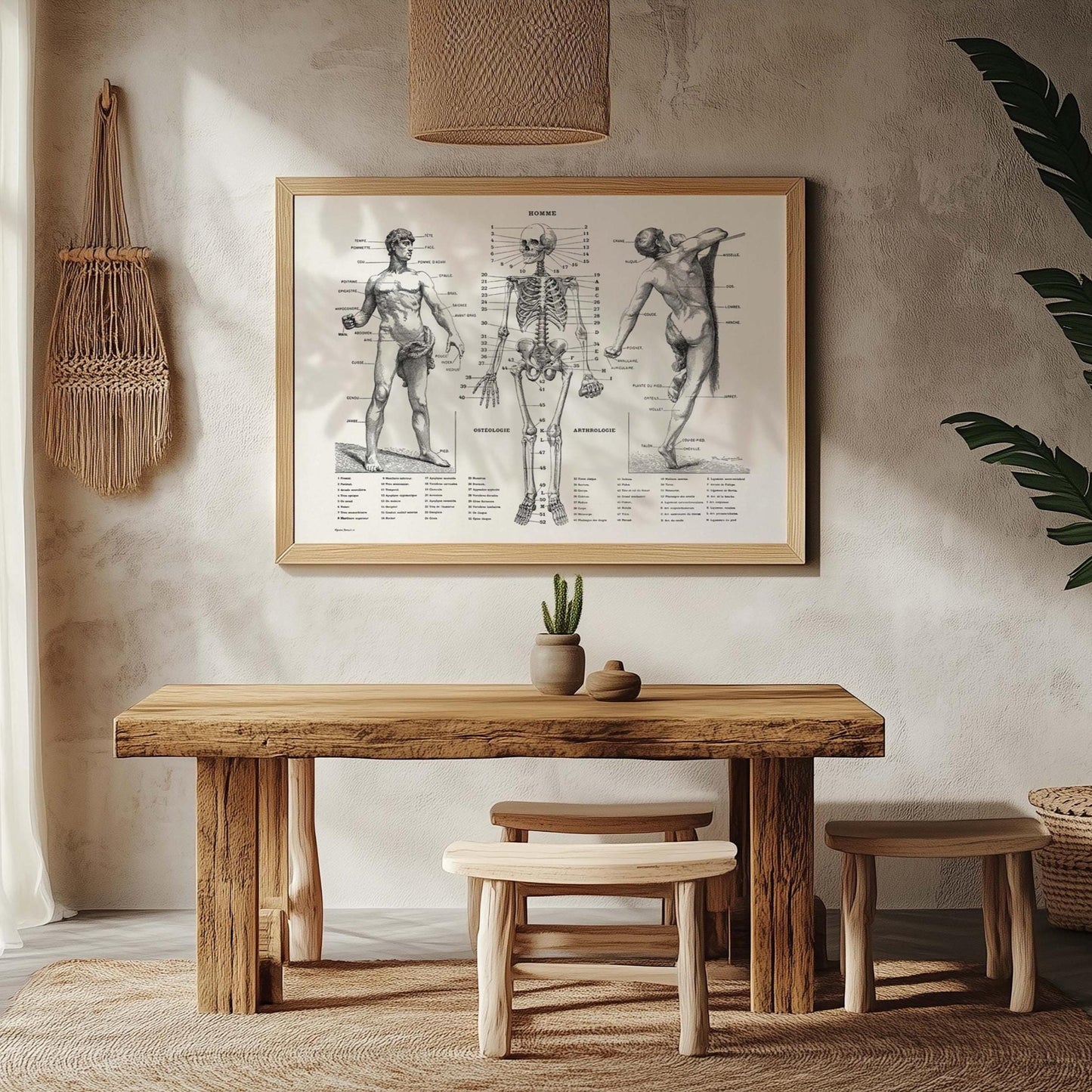 Anatomieposter – Vintage Menselijk Lichaam print