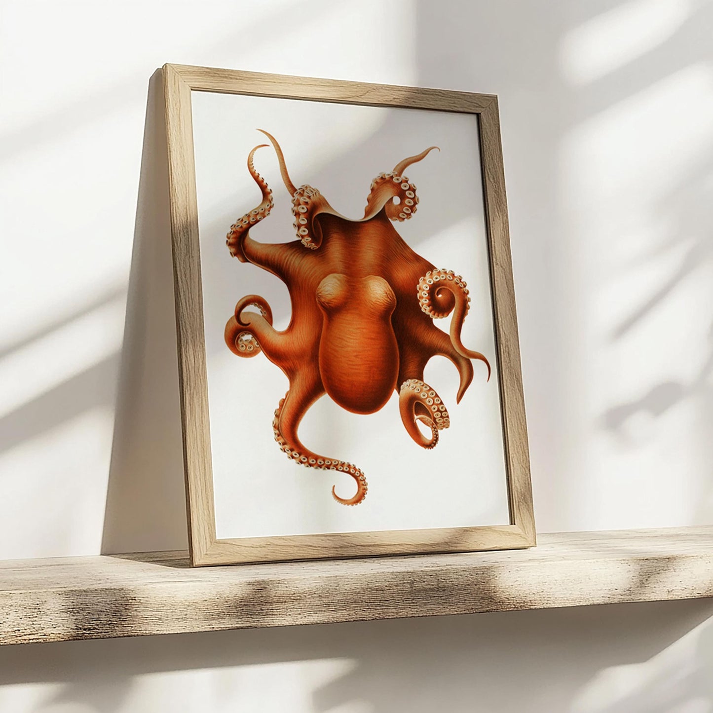 Oktopus Poster - Tintenfisch Druck