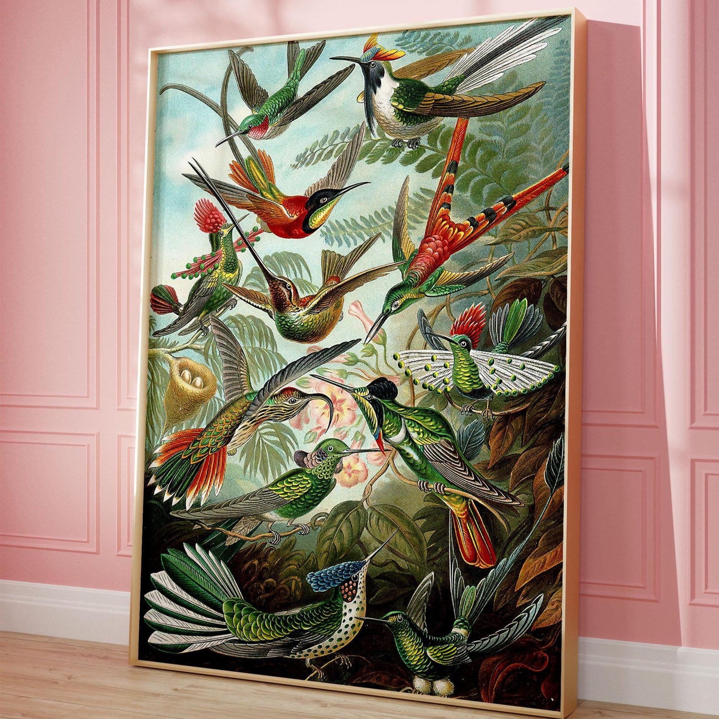 Kolibri-Plakat – Ernst Haeckel, 1904, Vintage-Naturillustration