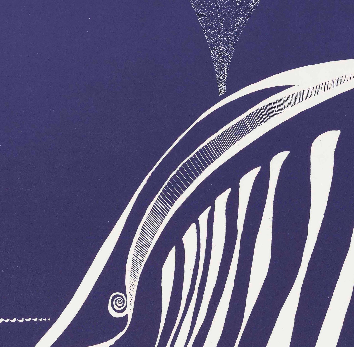 Save the Whales Poster – Activist Illustration for Nature Conservation – Save the Whales