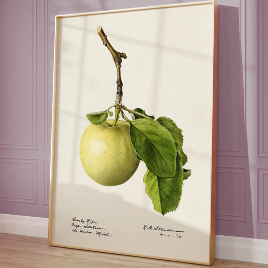 Green Apple Poster – Watercolor Fruit Illustration