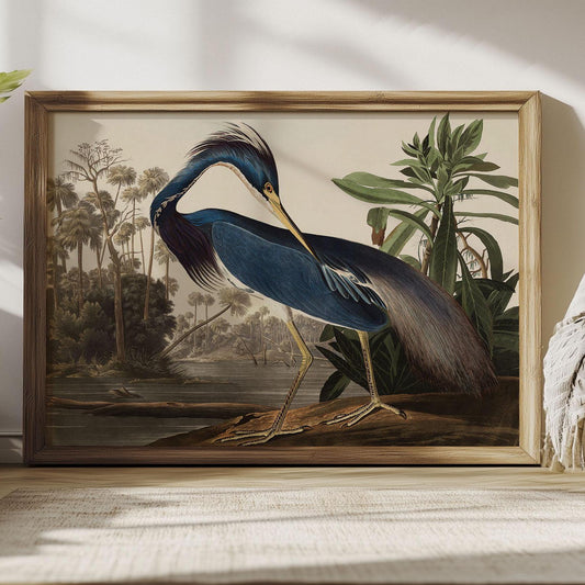 Bird poster blue heron Birds of America