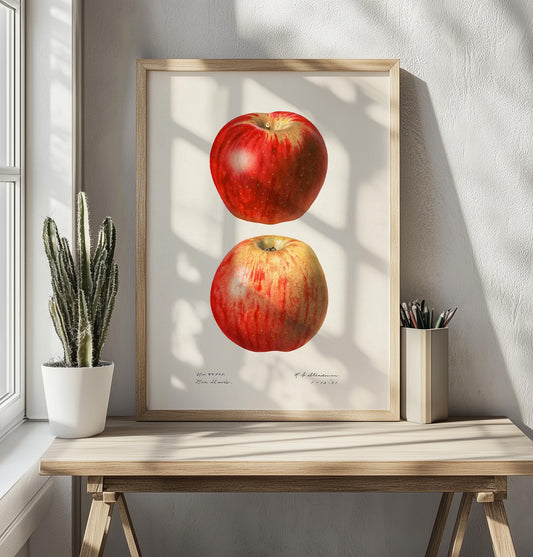 Vintage Apple Poster – Botanical Illustration