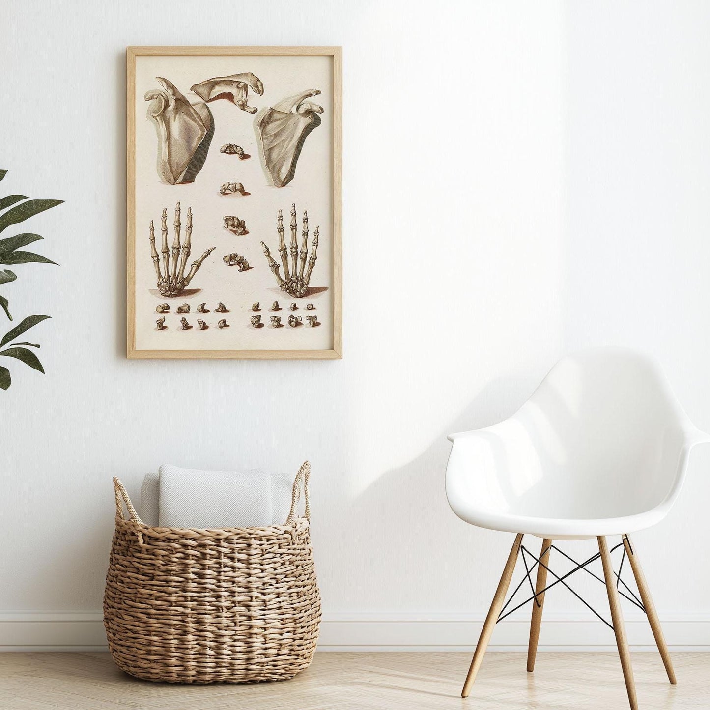 Orthopädisches Handposter – Anatomische Illustration