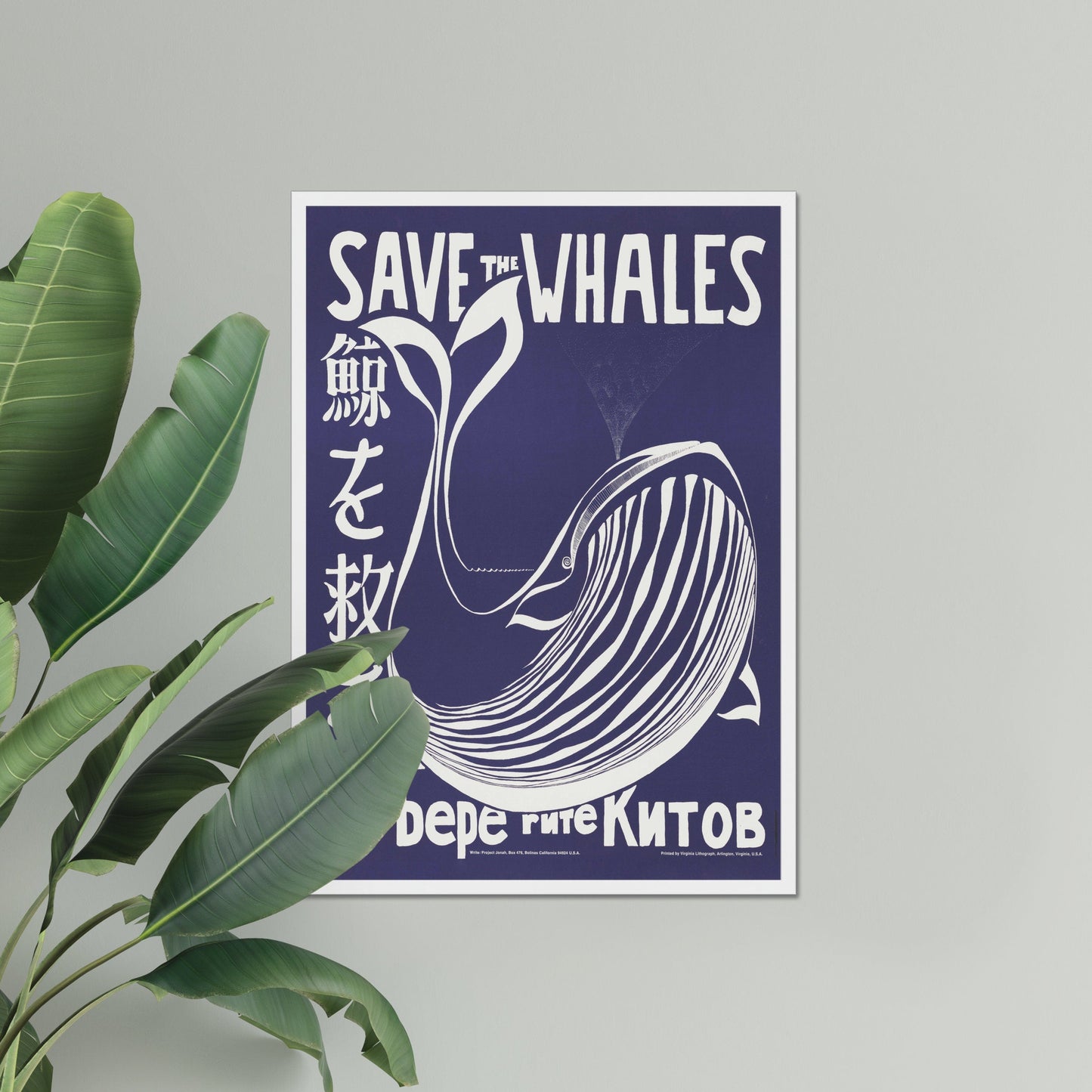 Save the Whales Poster – Activist Illustration for Nature Conservation – Save the Whales