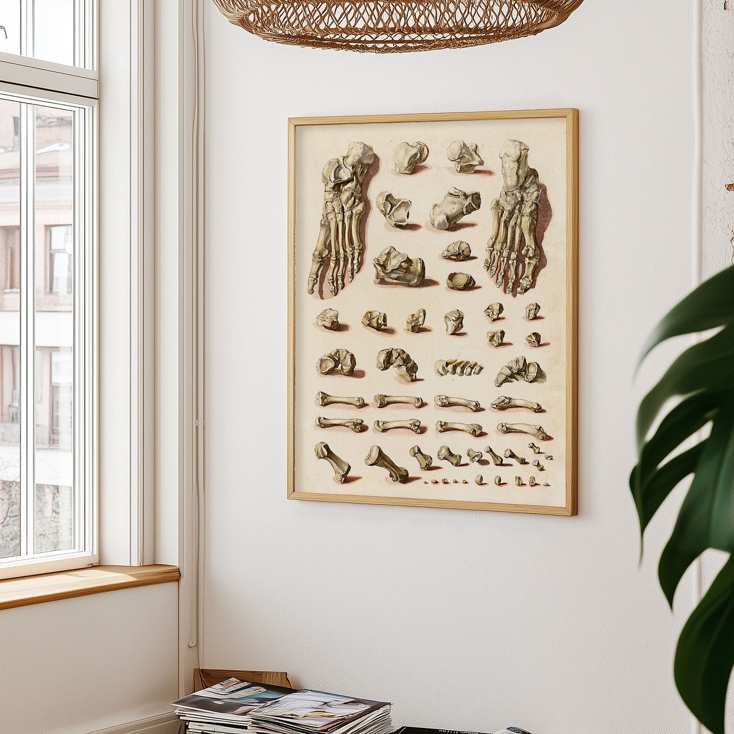 Orthopädisches Fußposter – Medizinischer Anatomiedruck