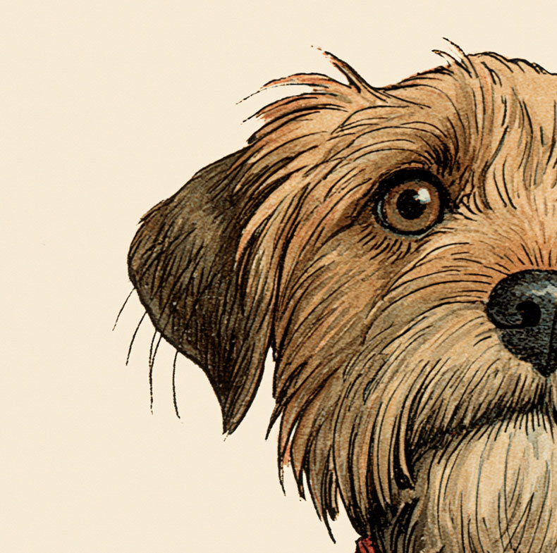 Detail van een honden illustratie poster