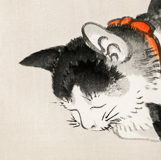 Japanese Cat Poster, Sleeping cat from Bairei