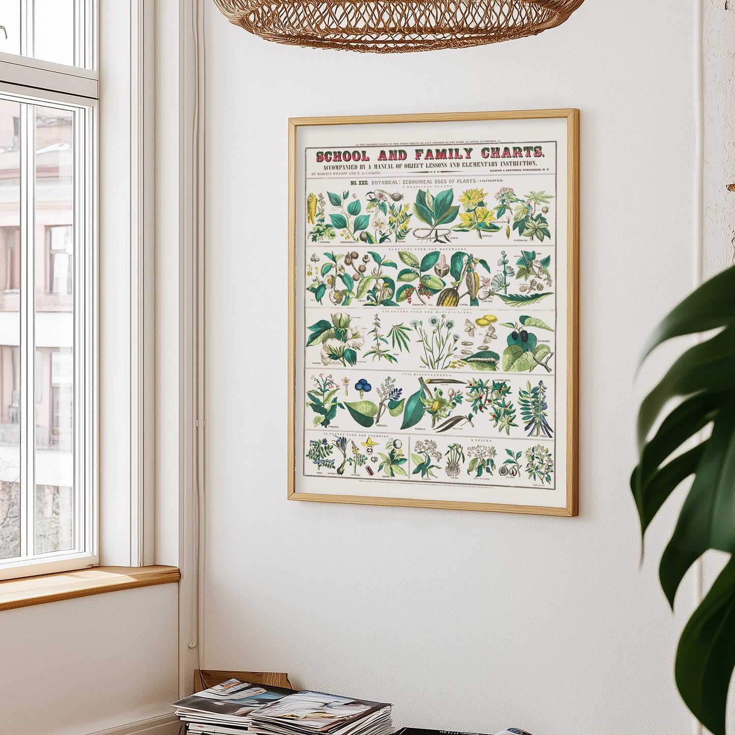 Botanical poster – Herbs and medicinal plants (1890)