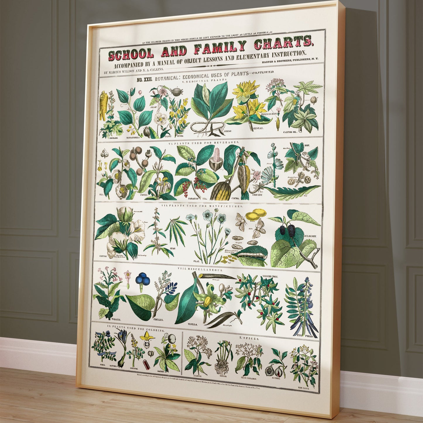 Vintage botanische poster met groene bladeren.