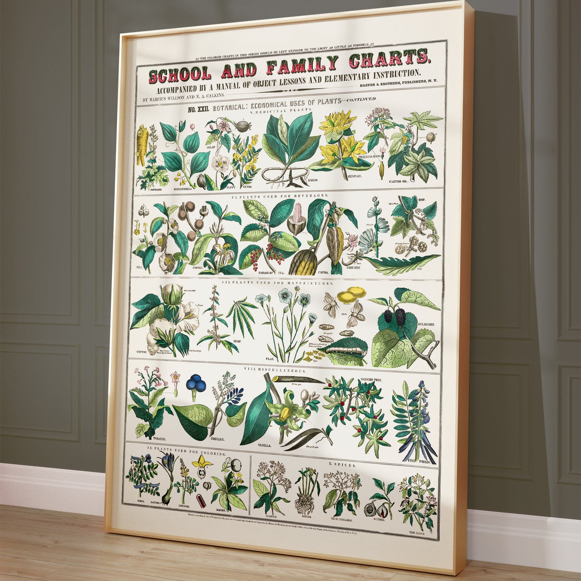 Vintage botanische poster met groene bladeren.