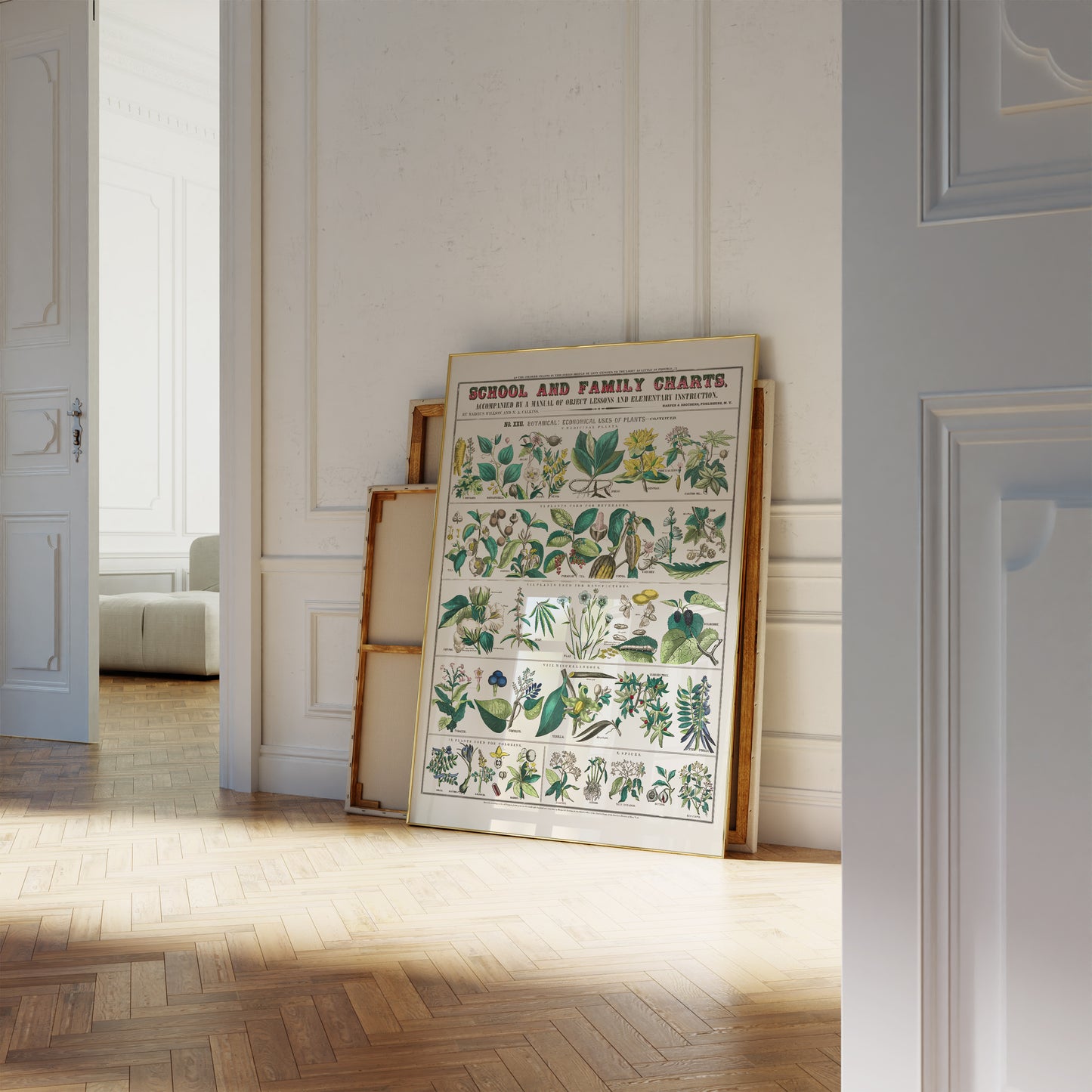 Botanical poster – Herbs and medicinal plants (1890)