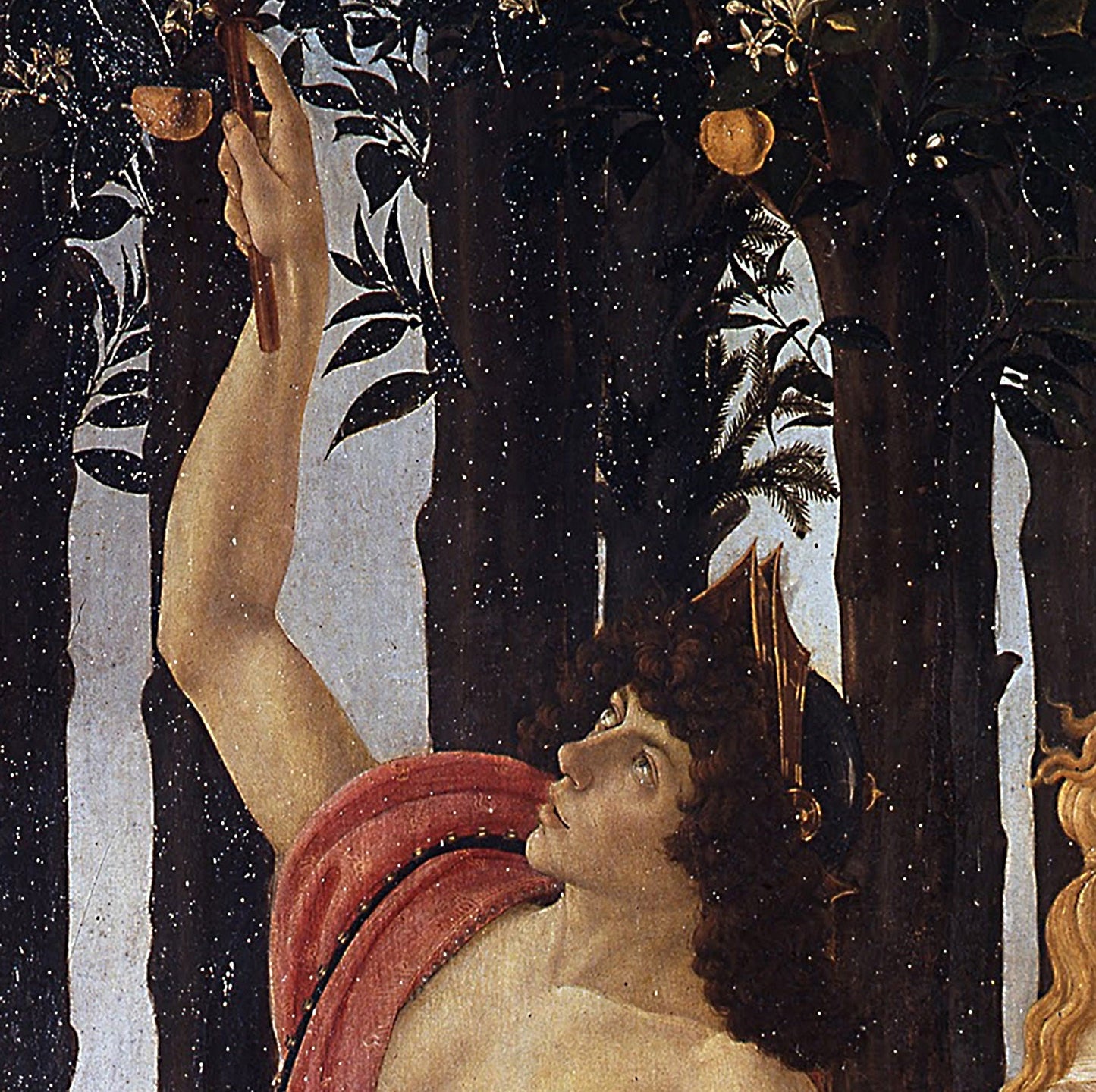 Primavera – Botticelli-Poster des Frühlings