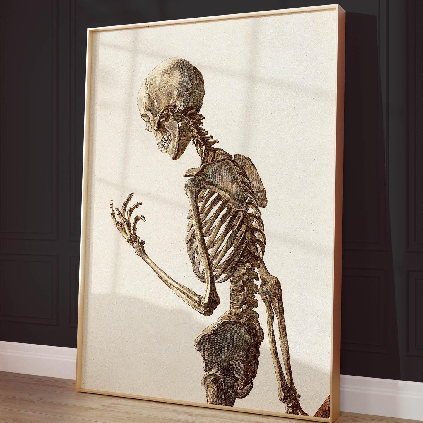 Vintage skeleton poster - Anatomical illustration