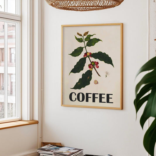Vintage coffee poster - Botanical vintage print