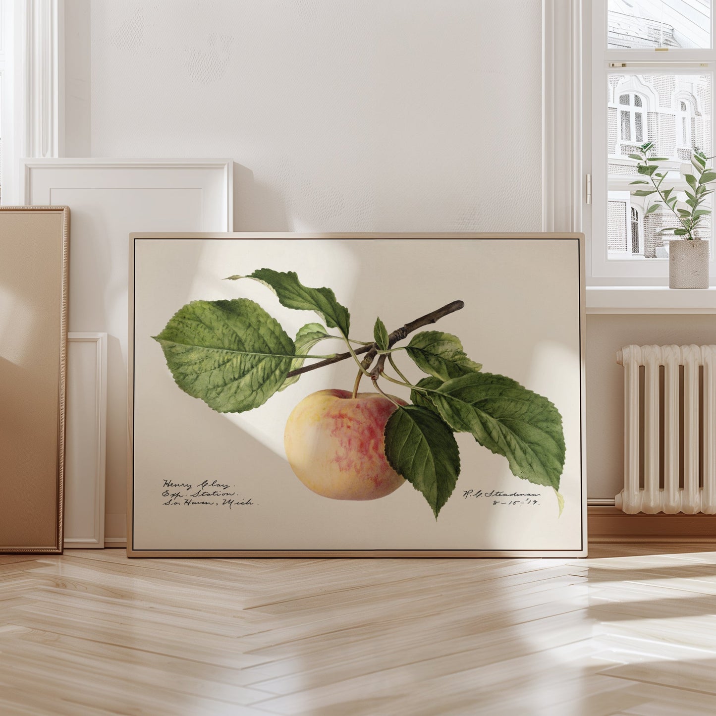 Apple poster – Vintage botanical print
