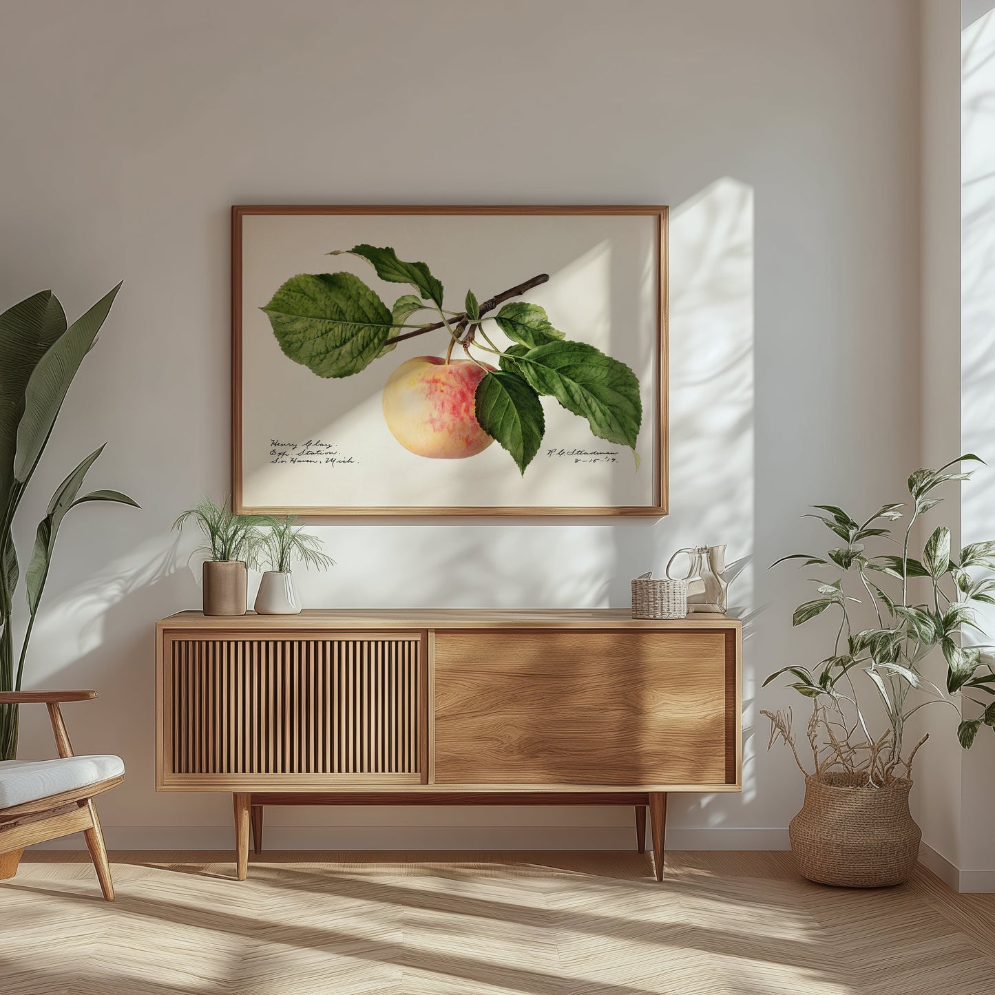 Apple poster – Vintage botanical print