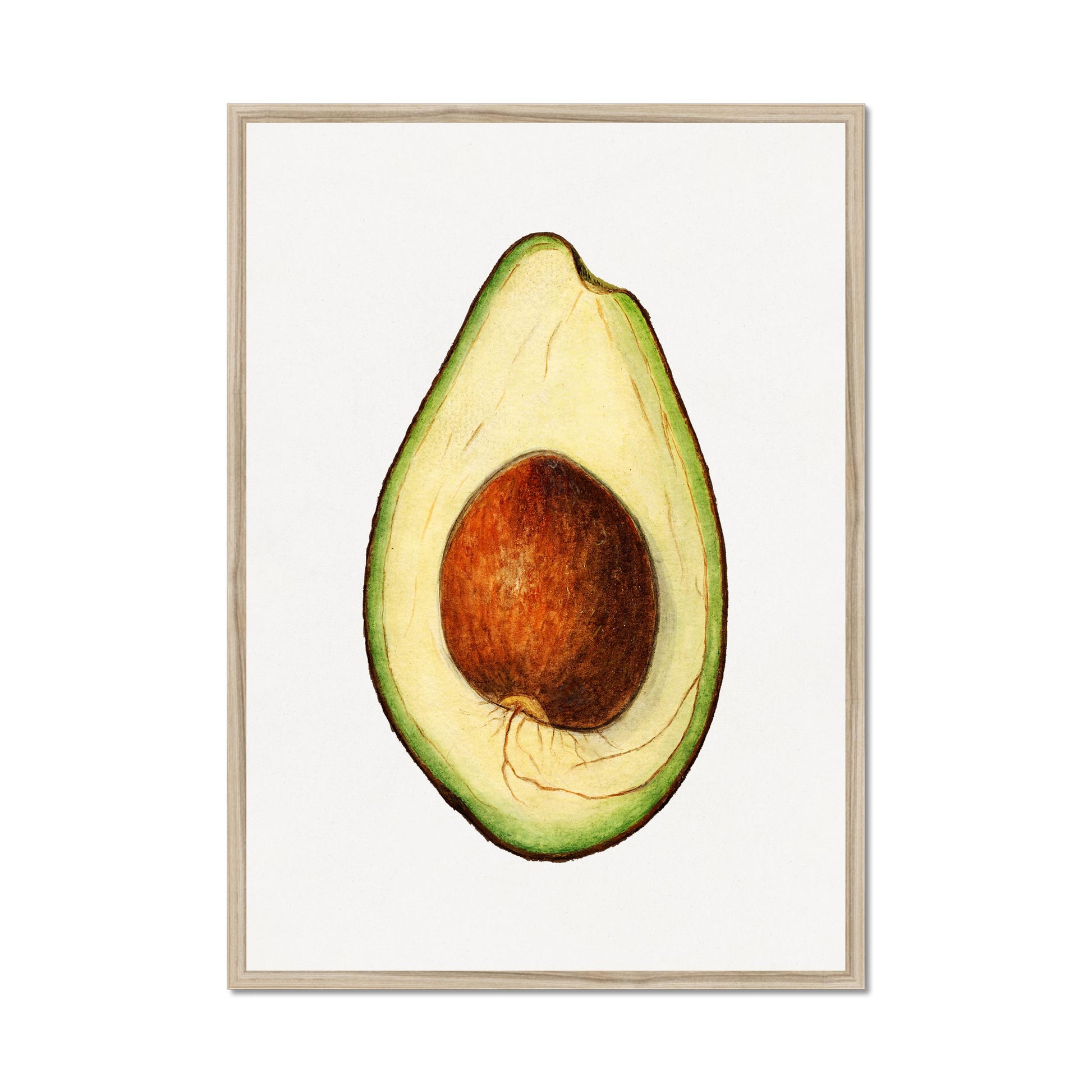 Avocadoposter, ingelijst op een witte achtergrond.