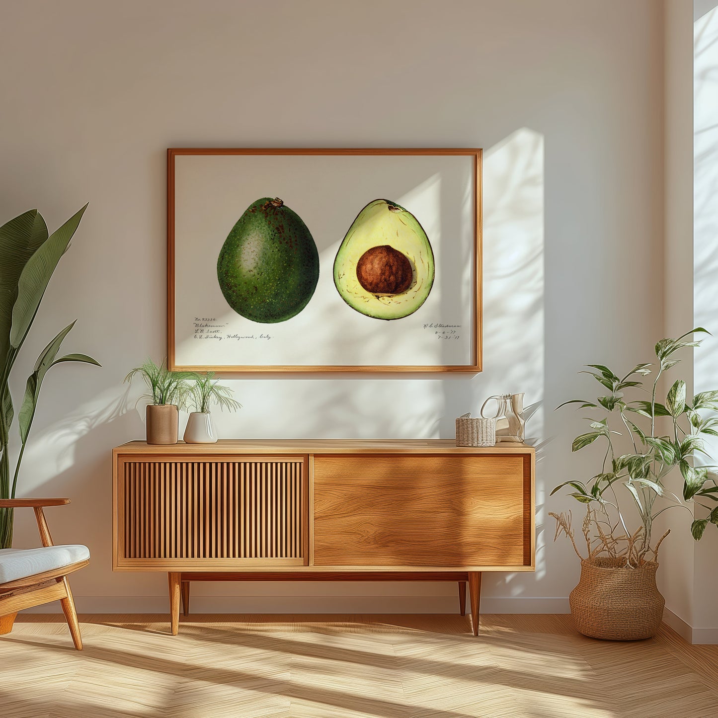 Avocado poster – Vintage Botanische Kunstprint