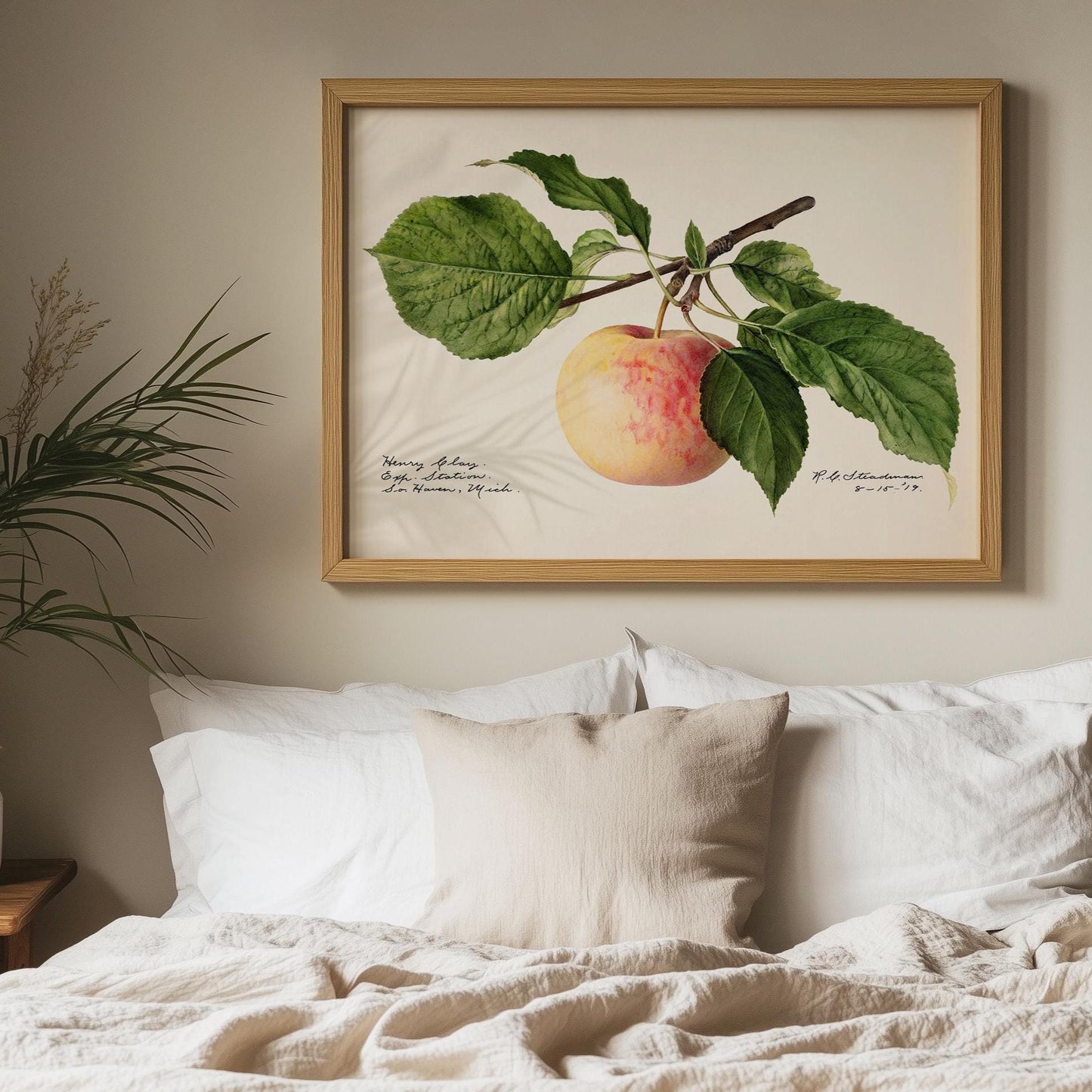 Apple poster – Vintage botanical print