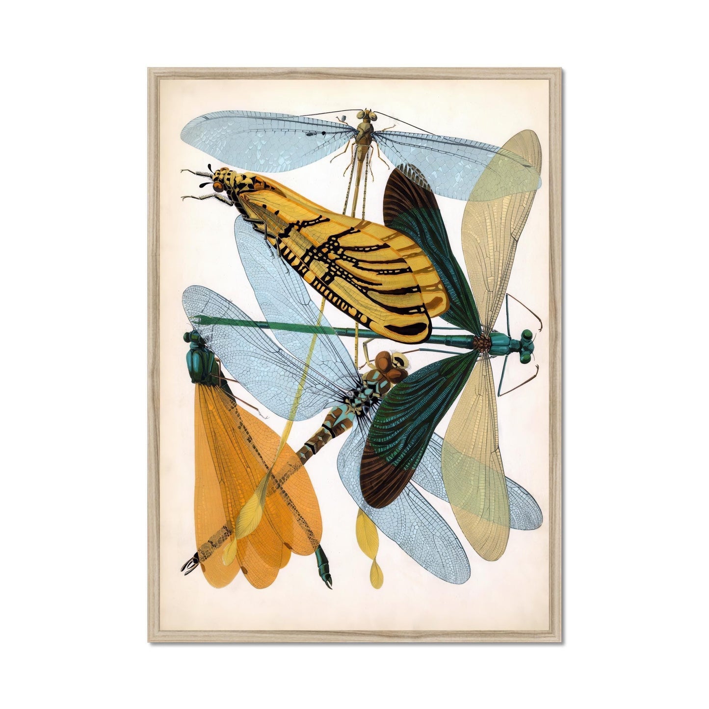 Insect Poster – Art Nouveau Illustration of Insects