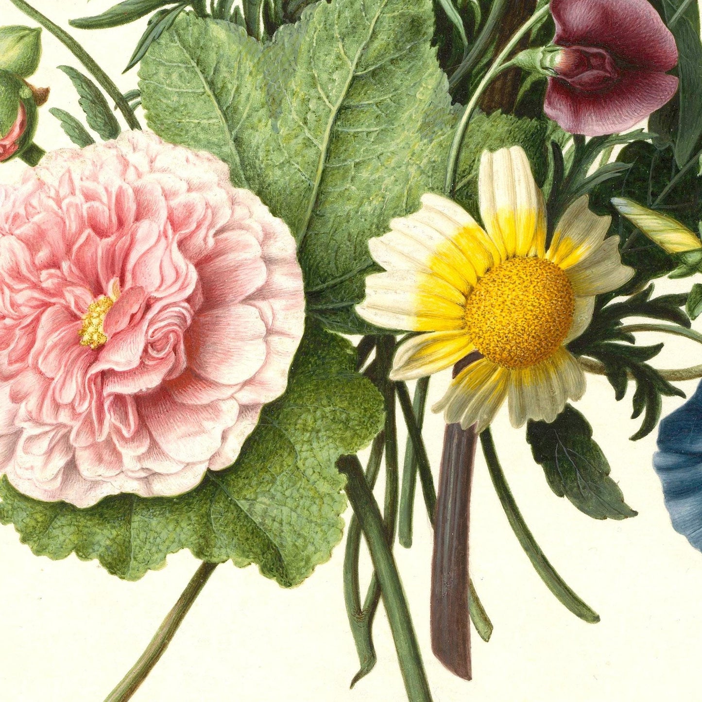 Flower Poster – Botanical Art Print in Colorful Style
