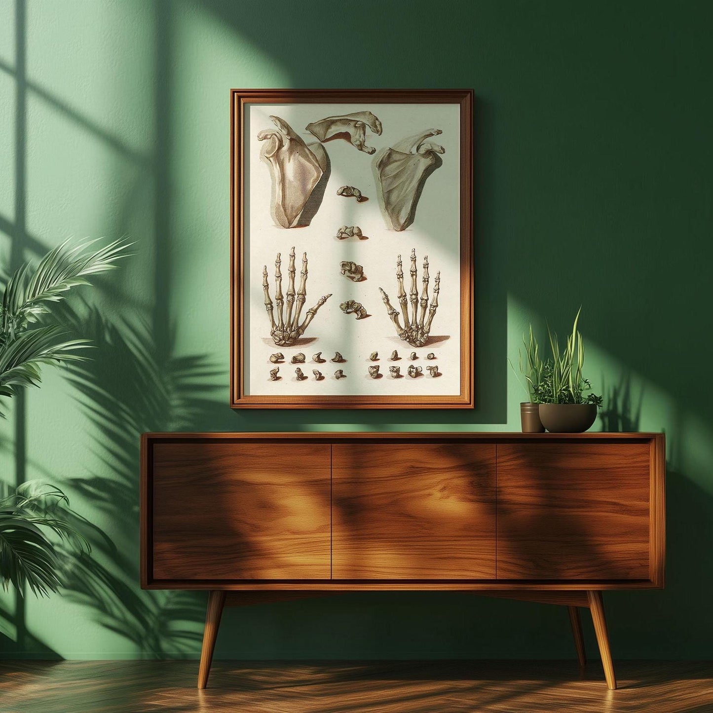 Orthopädisches Handposter – Anatomische Illustration