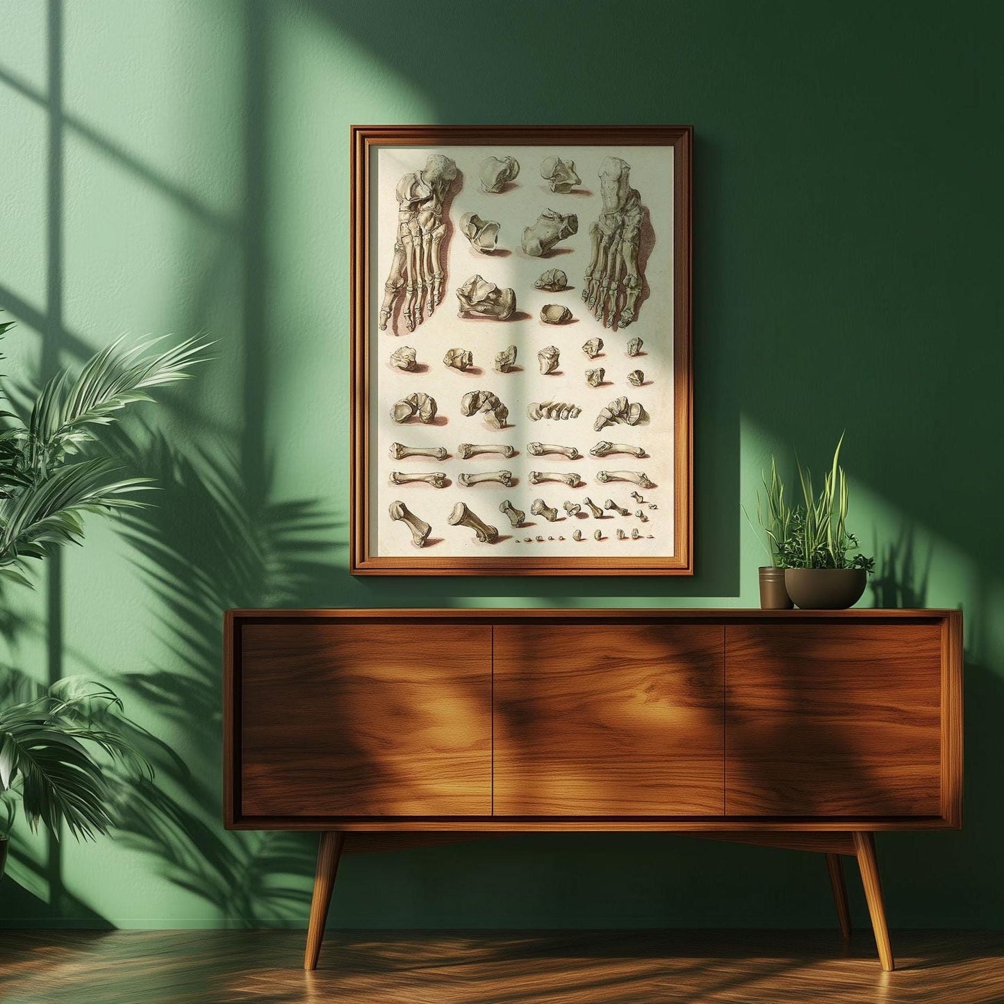 Orthopädisches Fußposter – Medizinischer Anatomiedruck