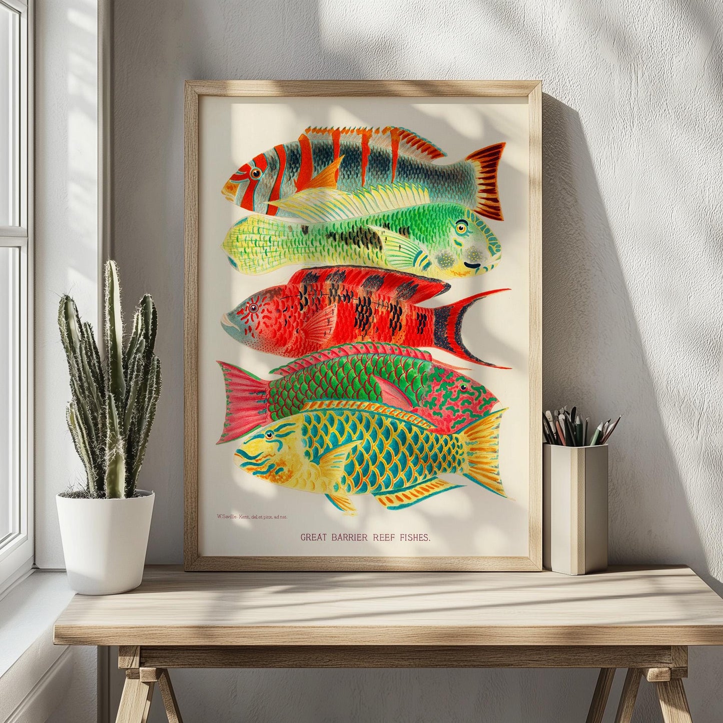 Tropische Fische – Great Barrier Reef, Illustration William Saville-Kent, 1893