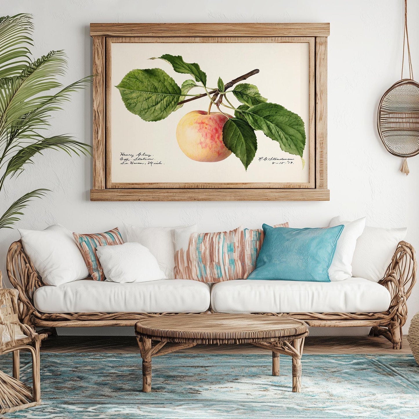 Apple poster – Vintage botanical print